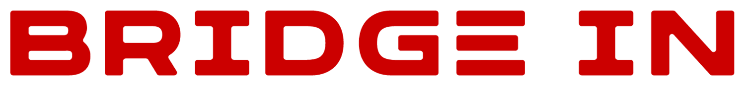 BRIDGE IN logo