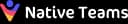 Native Teams logo