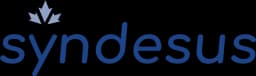 Syndesus logo